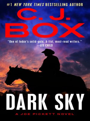 cover image of Dark Sky
